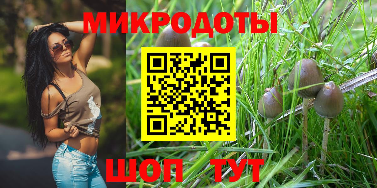 Псилоцибиновые грибы Cubensis Светлоград