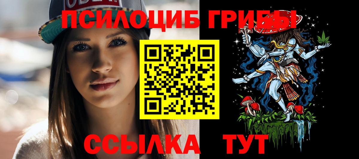 Псилоцибиновые грибы прущие грибы  Вход с VPN  Светлоград 